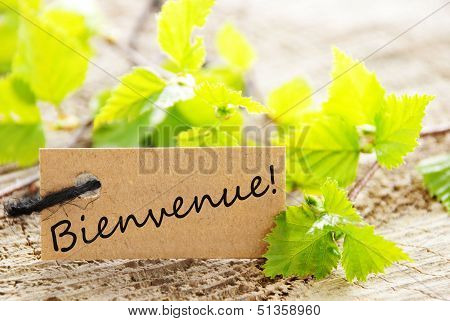 Label With Copy Space