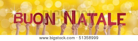 Buon Natale On Festive Background