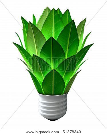 Green Energy Light Bulb