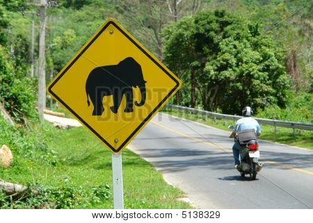 Elephant Sign