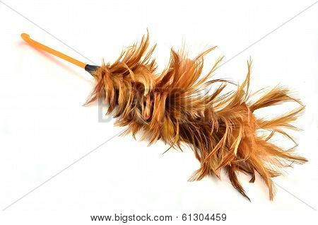 Feather duster on a white background