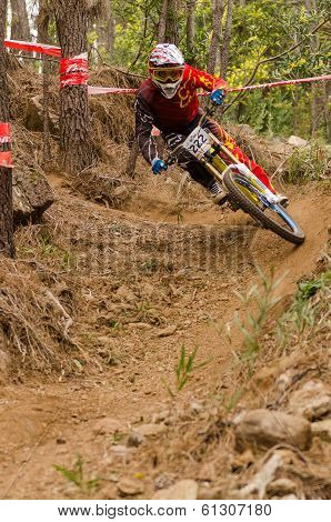 Vitor Martins