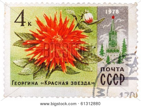 Stamp Printed In Russia Shows Dahlia Red Star And Spasski Tower