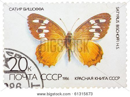 Stamp Printed In The Ussr (russia) Shows A Butterfly With The Inscription 