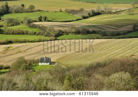 Cottage among Fields