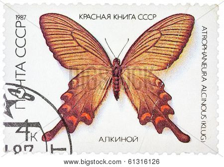 Stamp Printed In The Ussr Shows Butterfly .alcinous, Series