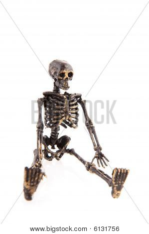 Halloween scheletro