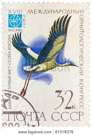 Stamp Printed In Ussr (russia) Shows A Bird Ciconia Boyciana With The Inscription And Name Of Series