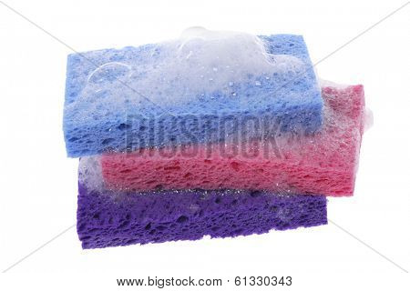 Sponges with soap suds