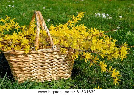 basket with yellow flowers