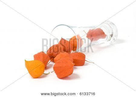 Physalis kukkia ja lasi