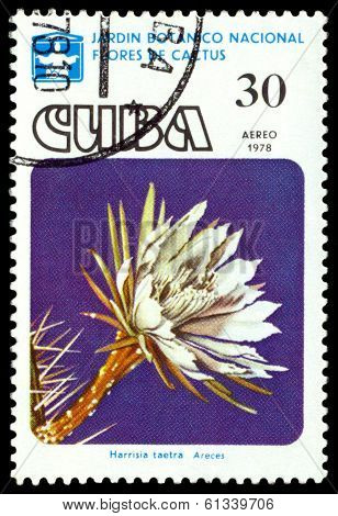 Vintage  Postage Stamp. Cactus Harrisia Taetra Areces.