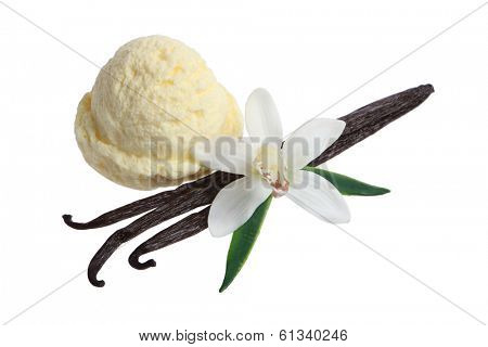 Vanilla Ice Cream Scoop