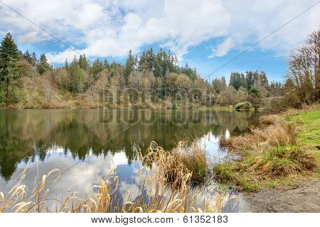 Small Lake Rasmussen, Duval. Wa State. Usa