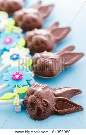 Chocolate Bunnies