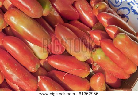 Long-shaped Tomatoes