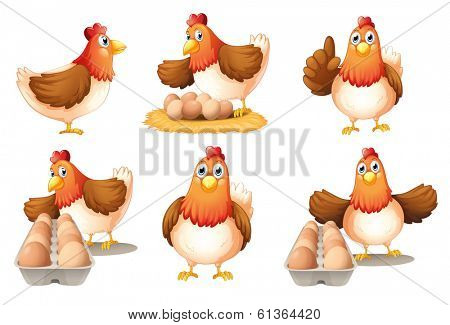 Illustration of the six hens on a white background