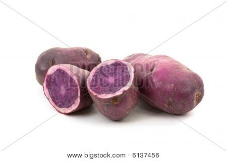 Blue Potato - Vitellotte