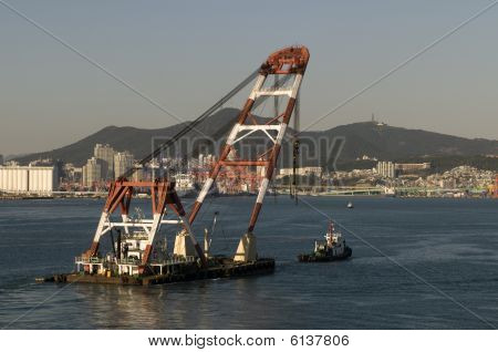 New building ships in shipyard