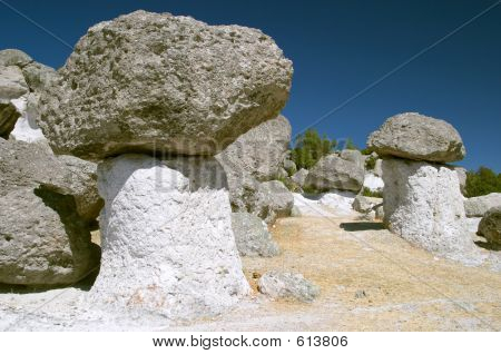 Champignon Valley