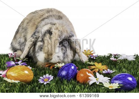 brown rabbit with easter eggs