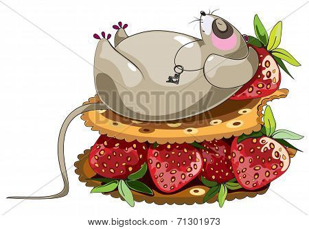 fat lazy mouse