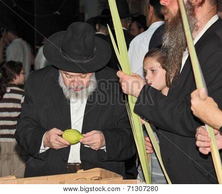 BENE - BERAK, ISRAEL - SEPTEMBER 17, 2013:  The elderly man with gray-haired beard chooses a citrus.  Big market on the eve of the Jewish holiday of Sukkot