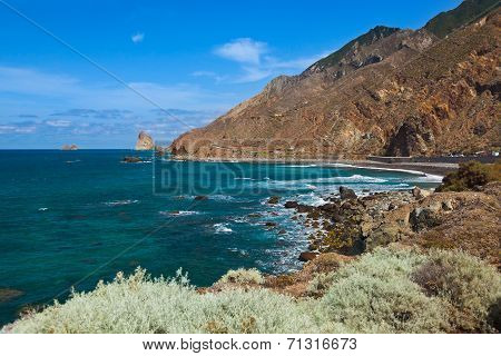 Coast In Tenerife Island - Canary Spain