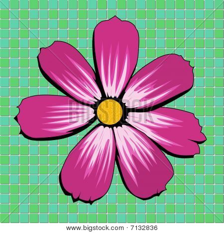 Aster