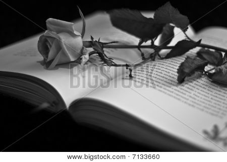 Historia de amor