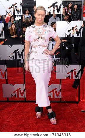 LOS ANGELES - APR 13:  Iggy Azalea arrives to the 2014 MTV Movie Awards  on April 13, 2014 in Los Angeles, CA.                