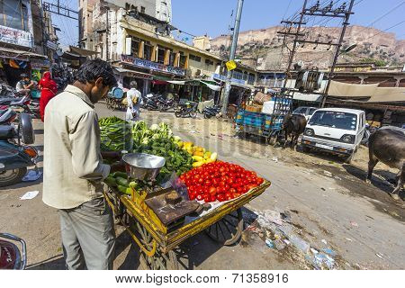 Man Sells Vegetables At The Market In Jodhpur