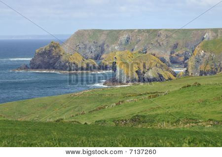 Lion Rock & gabbiano Rock (Kynance Cove)