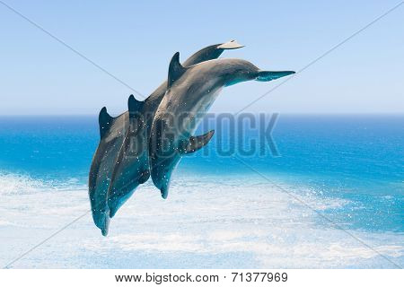 group of jumping dolphins, blue sea background