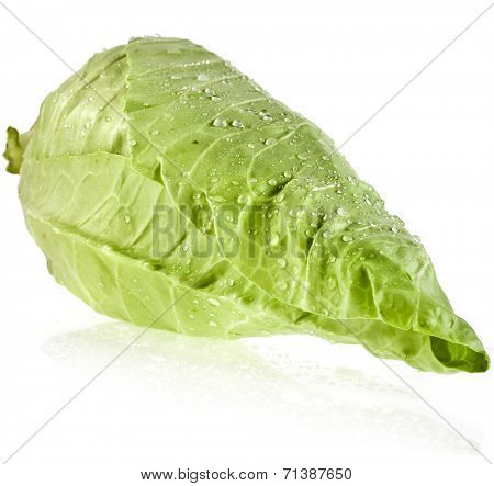 Sweet pointed cabbage isolated on white background