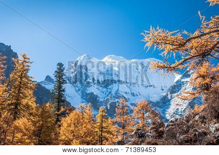 Colorful Autumn
