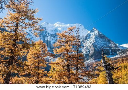 Colorful Autumn