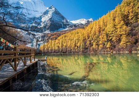 Colorful Autumn