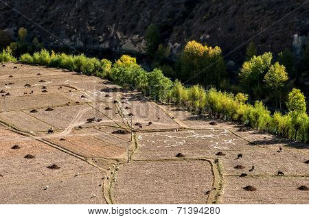 Autumn Landscape