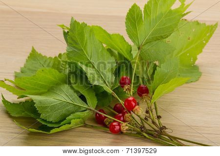 Stone Bramble