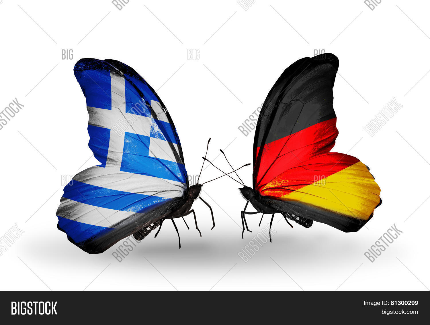 Two Butterflies Flags Image & Photo (Free Trial) | Bigstock