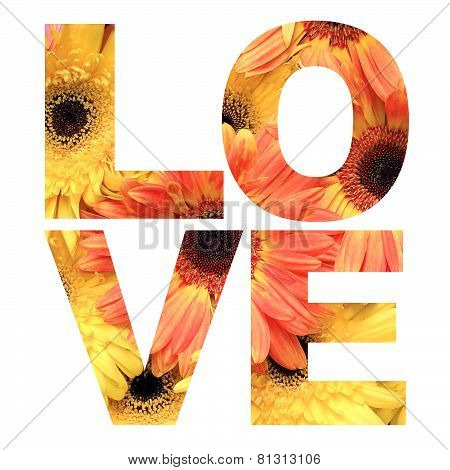 Word Love