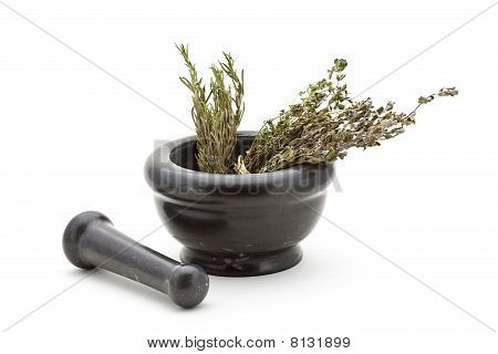 Havanda kuru otlar