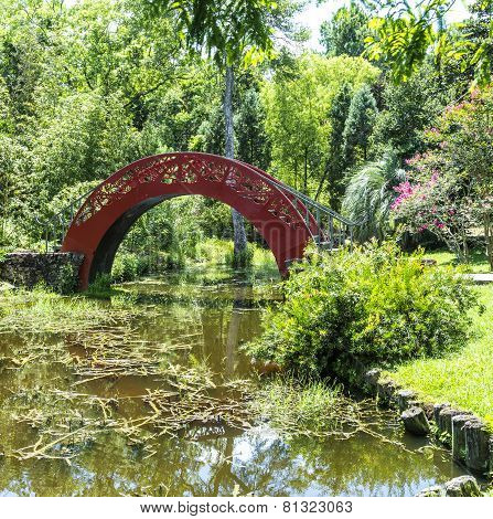 Chinese Bridge In Bellingraths Garden