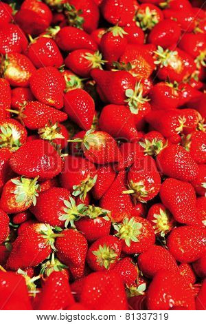 fresh raw lot of strawberries on counter