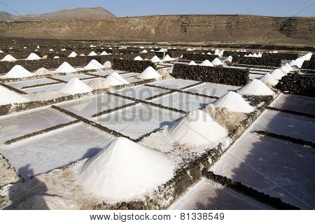Salt Piles On A Saline Exploration