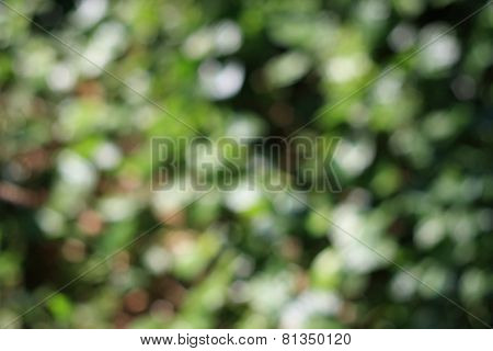 Blur Abstract background