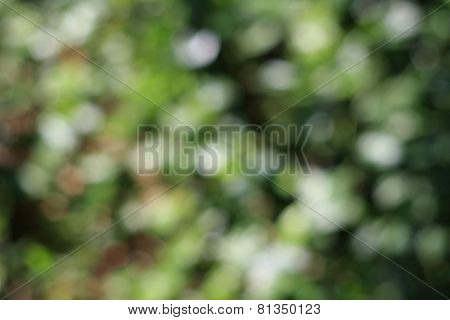 Blur Abstract background
