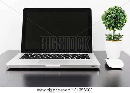 Laptop And Flower Pot On Black Wooden Table