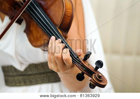 violin